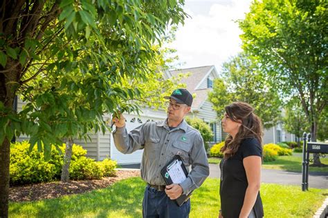 joshua tree tree service|joshua tree lawn care allentown pa.